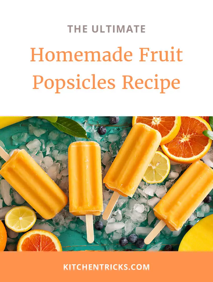 Homemade Fruit Popsicles 2 XS