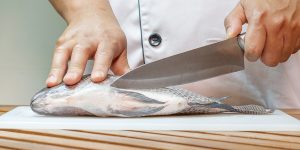 best fillet knife for saltwater fish XS