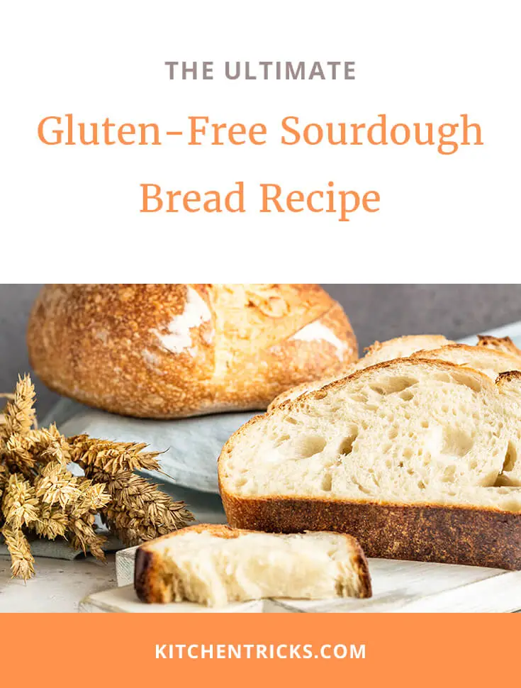 gluten free sourdough bread recipe 2 XS