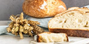 gluten free sourdough bread recipe XS