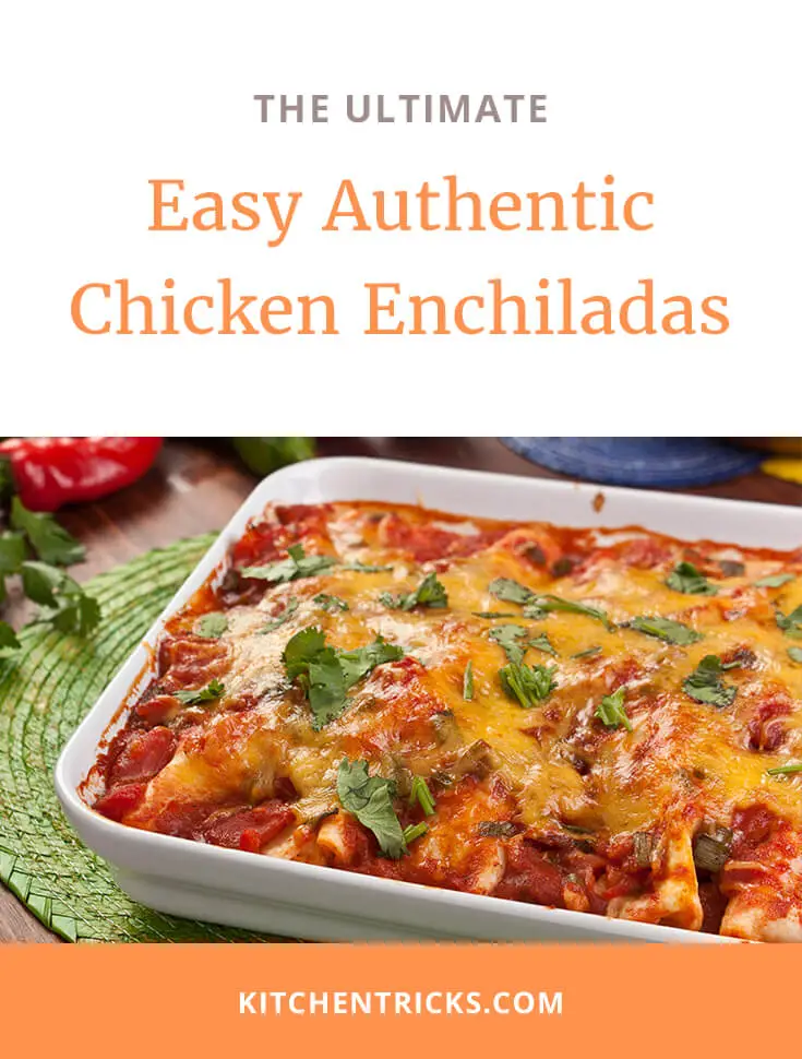 Easy Authentic Chicken Enchiladas 2 XS