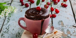 chocolate protein mug cake recipe XS