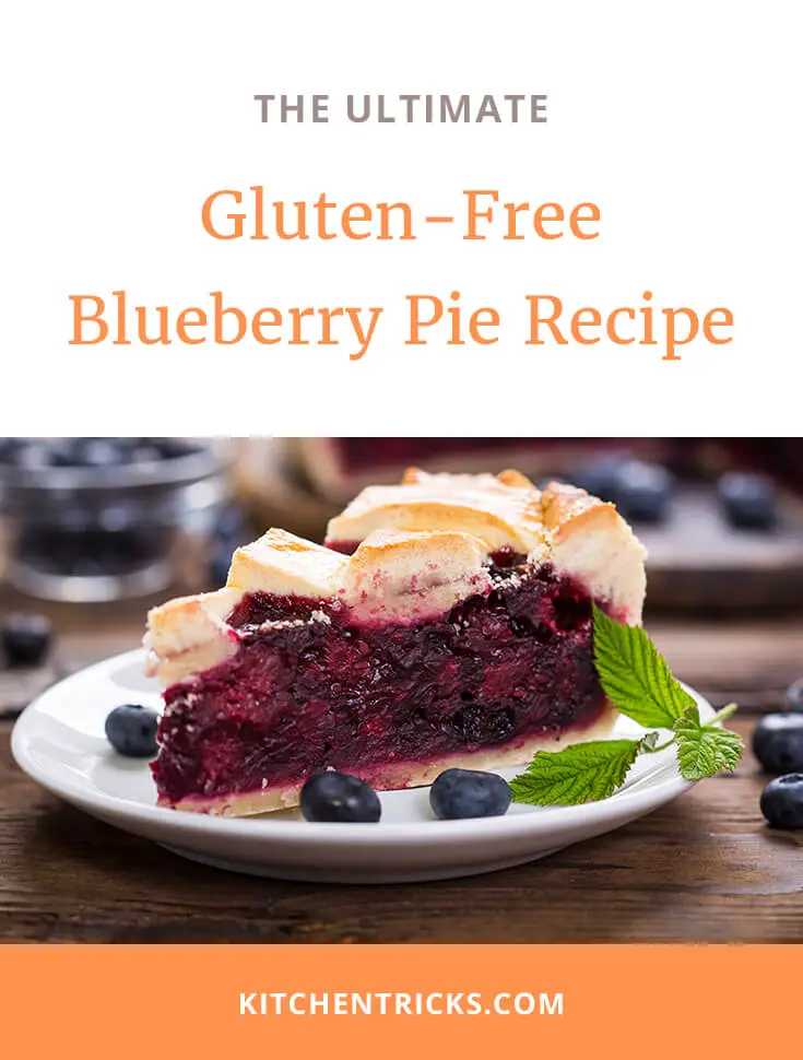gluten free blueberry pie recipe 2 XS