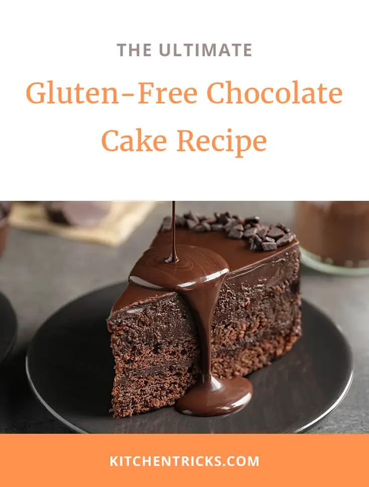 gluten free chocolate cake recipe 2 XS