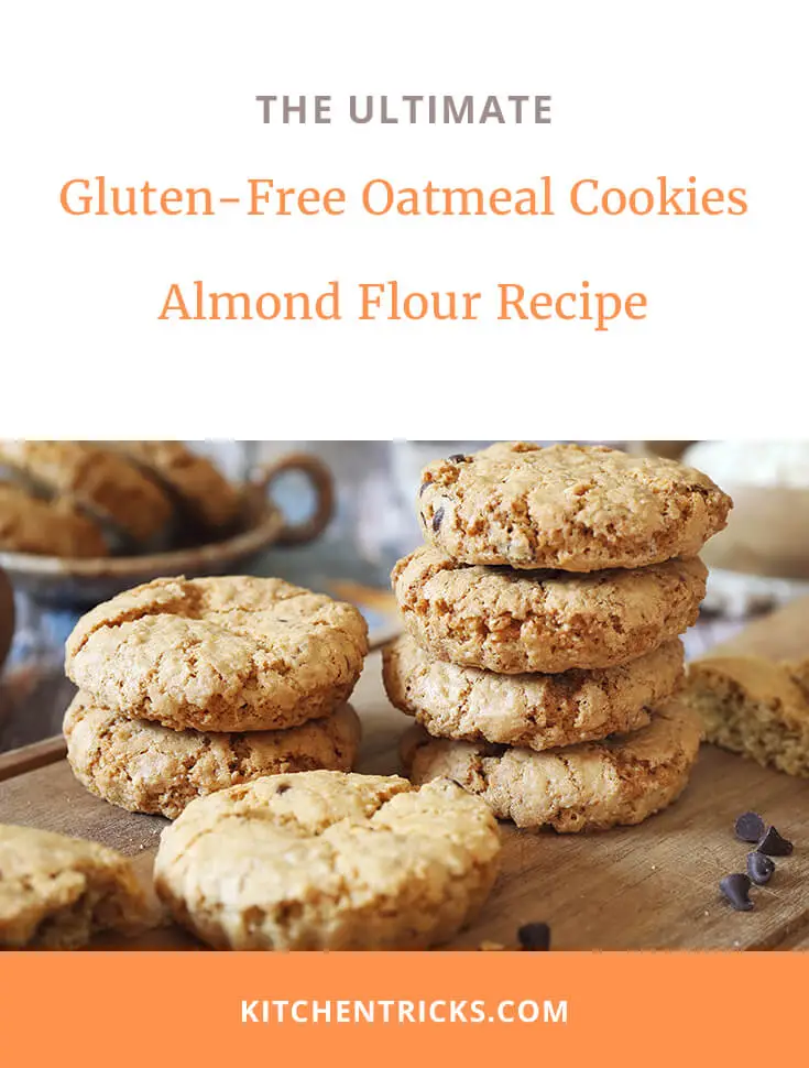 gluten free oatmeal cookies 2 XS