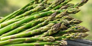 How to Cook and Store Asparagus - Easy Guide