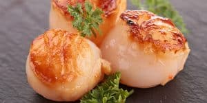 How to Cook and Store Scallops - Easy Guide